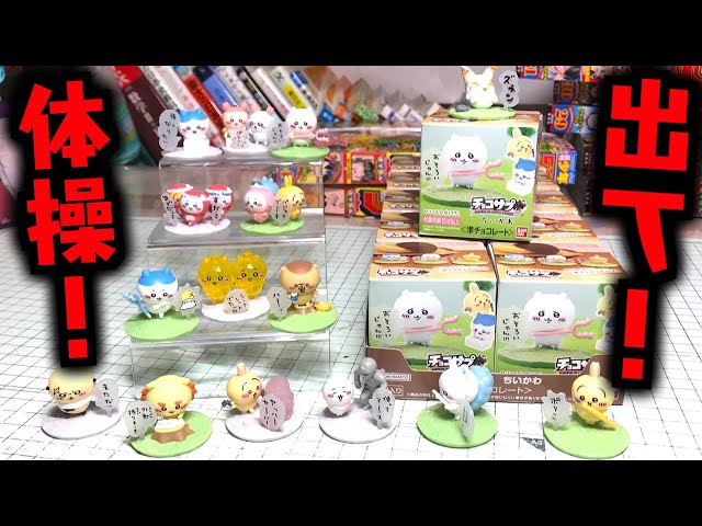 Aim for the Gymnastics! Choco Supplement Chiikawa - All 16 Types