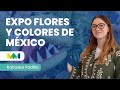 Expo Flores y Colores