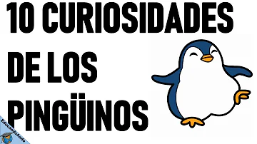 ¿Cuáles son los 10 datos más interesantes sobre los pingüinos?