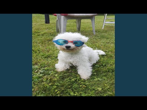 Hij lachte zijn ex-vrouw uit zonder advocaat — totdat haar moeder binnenkwam en de rechtbank schokte