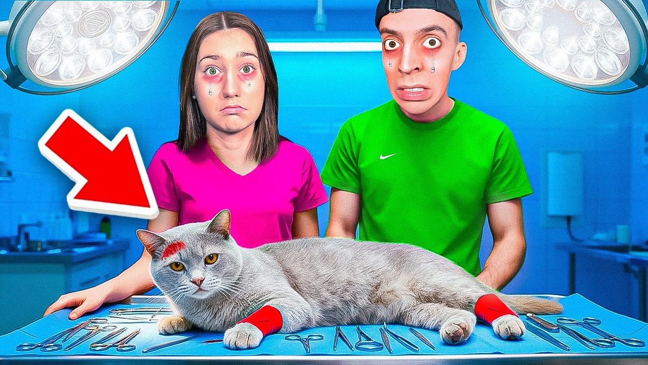 Unsere KATZE hat eine SCHLIMME KRANKHEIT! 😭