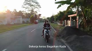 Story wa Shaggy dog jalan- jalan 30 detik