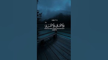 اكتب شئ تؤجر عليه|تلاوة وستوري بصوت الشيخ ياسر الدوسري #quran #اكسبلور #المصحف #حالات_واتس #لايك