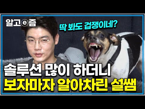 &amp;quot;정말 무는 개는 이러지 않아요&amp;quot; 강아지의 공격적인 행동을 보고 맞춰버린 설쌤｜세상에 나쁜 개는 없다｜알고e즘
