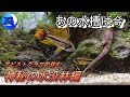 No.082 あの水槽は今　神秘の水没林編