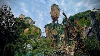 Animal Kingdom December 2020