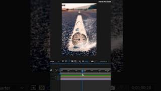 Particle Builder Alpha Create Stunning Particle Effects with After Effects #Shorts