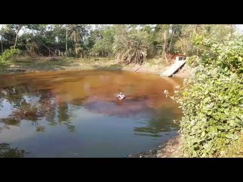Pond Water Purification Program at Mukti Gram