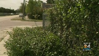 Boy Sexually Assaulted, Shot In Brownsville