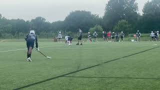 Details Summer highlights Update