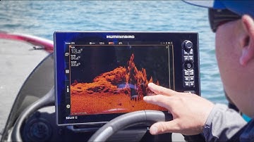 Sonar Basics: How To Interpret Down Imaging Sonar