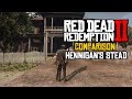 Red Dead Redemption 2 Map Comparison | Hennigan's Stead