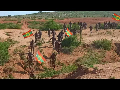 Dubii Jajjabduu Yerro Amma Dema Jirrtu November 3 2025