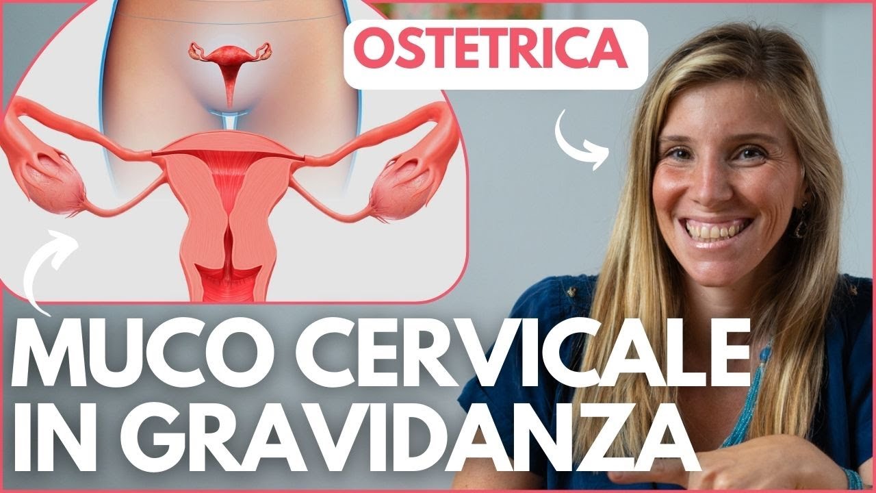 Muco cervicale in gravidanza: cos', a cosa serve, colore, come cambia