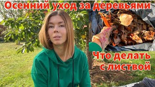 Осенний уход за плодовыми деревьями. Как с пользой применить листовой опад