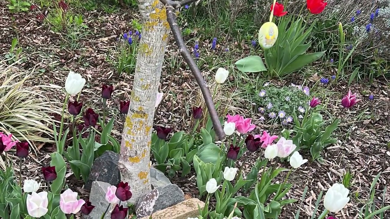 Gartengestaltung Teil 6. Kertépítés 6.🌷#garden 