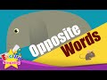 Kids vocabulary - Opposite Words - Learning about Opposites - English for kids