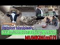 Ratsion hisoblash chorva uzbekistan kuhn holstein uzbek dairy milk silos