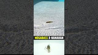 UNDERWATER Action View of the Megabass X-Nanahan Bass Fishing Jerkbait #shorts