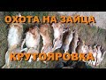 ОХОТА НА ЗАЙЦА. ЗАКРЫТИЕ. ОДЕССКАЯ ОБЛ БЕЛГОРОД -ДНЕСТРОВСКИЙ Р Н