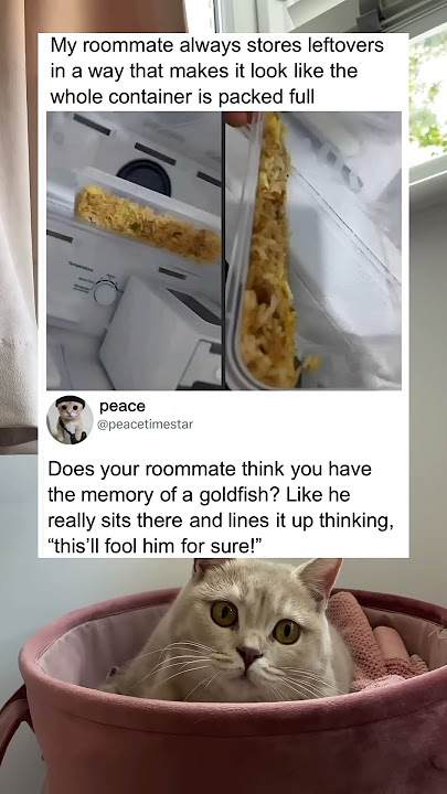 Roommate stores leftovers to make container look full
