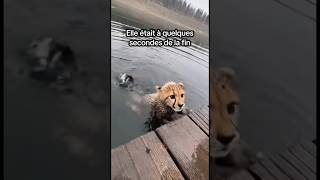 Elle Était À Quelques Secondes De La Fin..