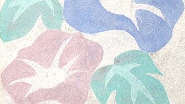 Bioinspired Color Materials Combining Structural, Dye, and Background Colors