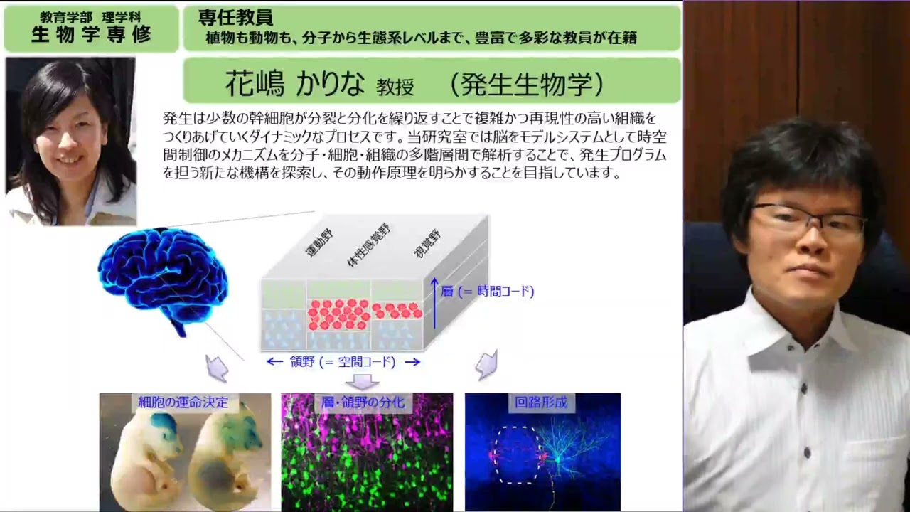 理学科生物学専修 » 早稲田大学 受験生応援サイト DISCOVER WASEDA