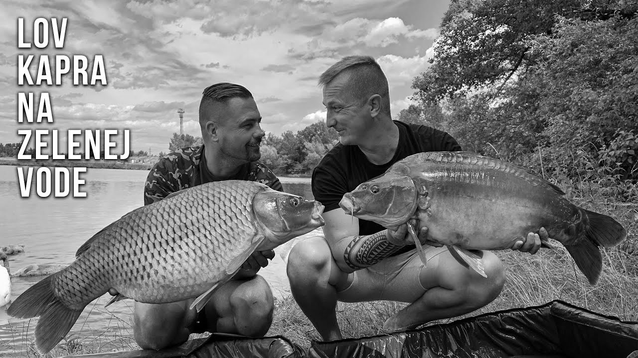 KOSŤO MIKBAITS - LOV KAPRA NA ZELENEJ VODE 2023 / 4KUHD / 50P