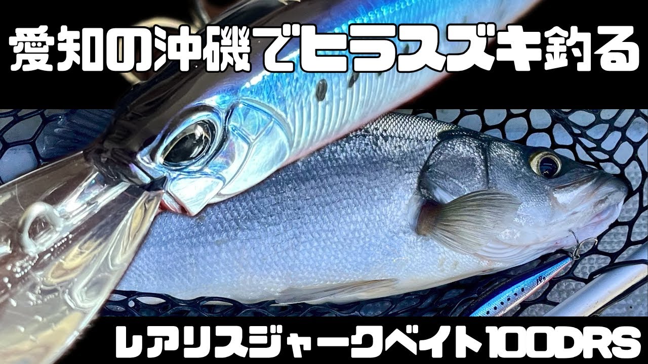 伊良湖磯撃ちシーバス レアリスジャークベイト100DRSでヒラスズキ