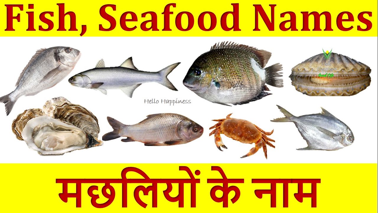 Fish name. Seafood Fish name. Fish names. Seafood names. Seafood with names.