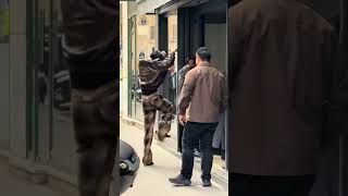 Cute Taehyung Moment In Cline Paris