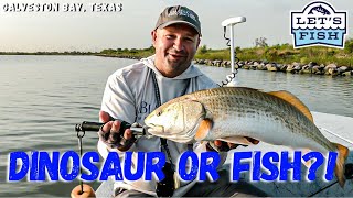 A NEW TECHNIQUE TO CHASING REDFISH! 19-2024 SouthEAST