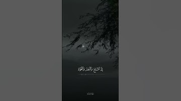 ﴿وَلا تَقفُ ما لَيسَ لَكَ بِهِ عِلمٌ..﴾ | القارئ محسن الدوسري