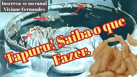 O que usar para tirar larvas da geladeira?
