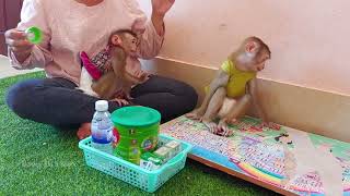 Little Baebii Baboo Let S Baebii Rbi Please Keep Quiet Don T Be Cry Wait Mom Mix Milk For Us