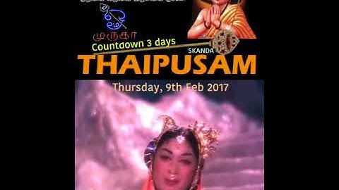 Thaipusam - Solla Solla Inikudhada  l Kandhan Karunai