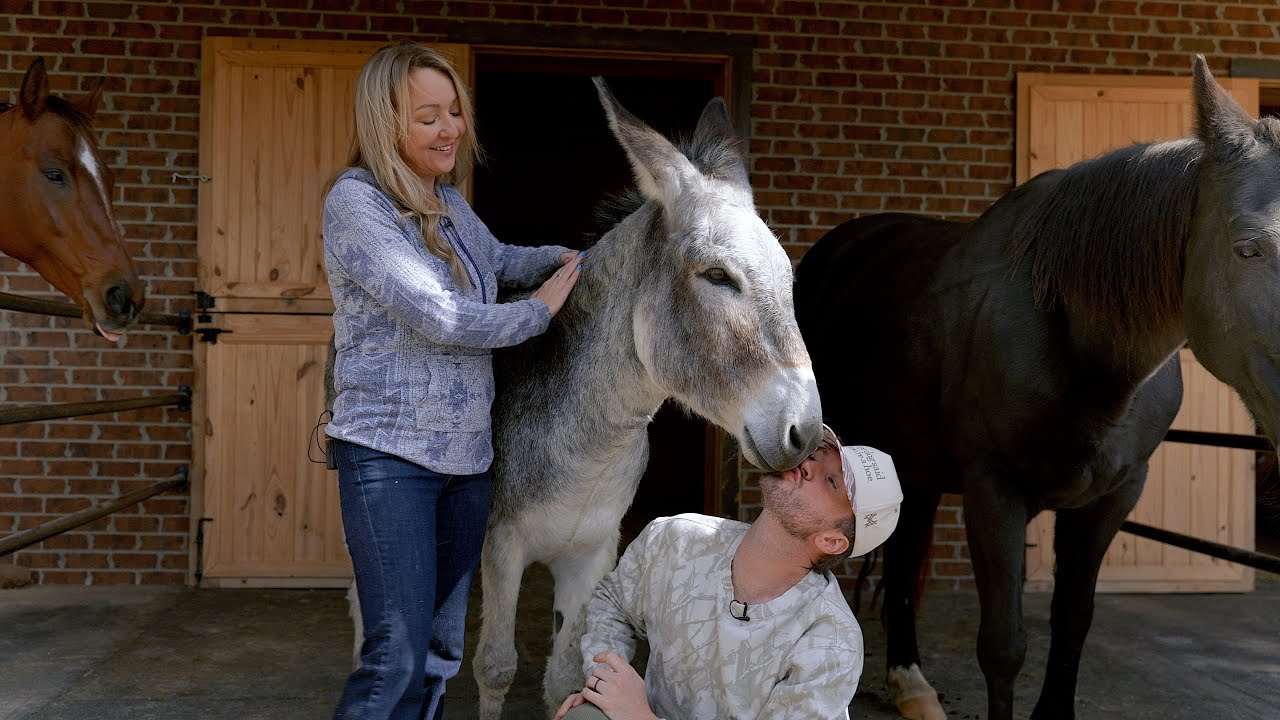 I Hired An Animal Communicator To Tell Me What My Animals Think About Me | Matt Mathews