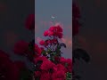 Ava Max Take You To Hell Slowed Reverb 