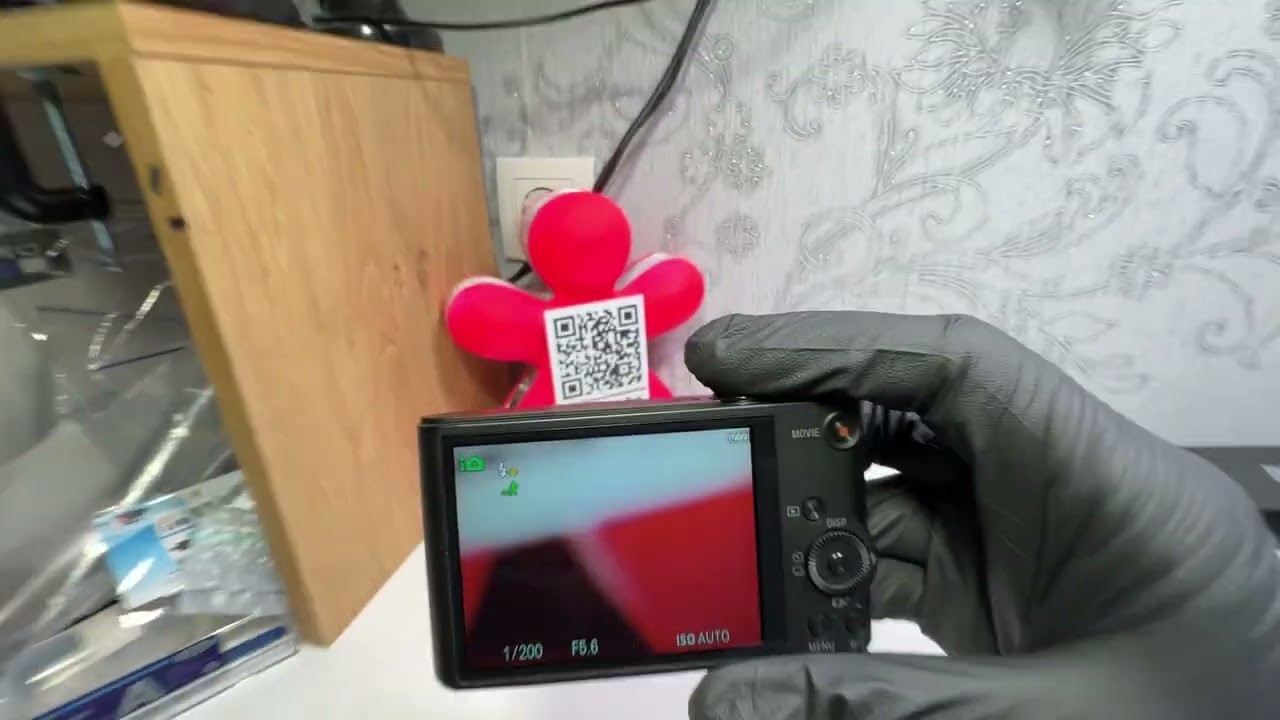 Sony Cyber-SHOT DSC-WX350 18.2MP 20x Zoom Digital Camera - BLACK 16GB