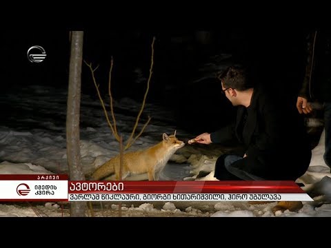 მელია სახელად „ობოლა“ - გოგნელაშვილის სახინკლის ახალი სტუმარი