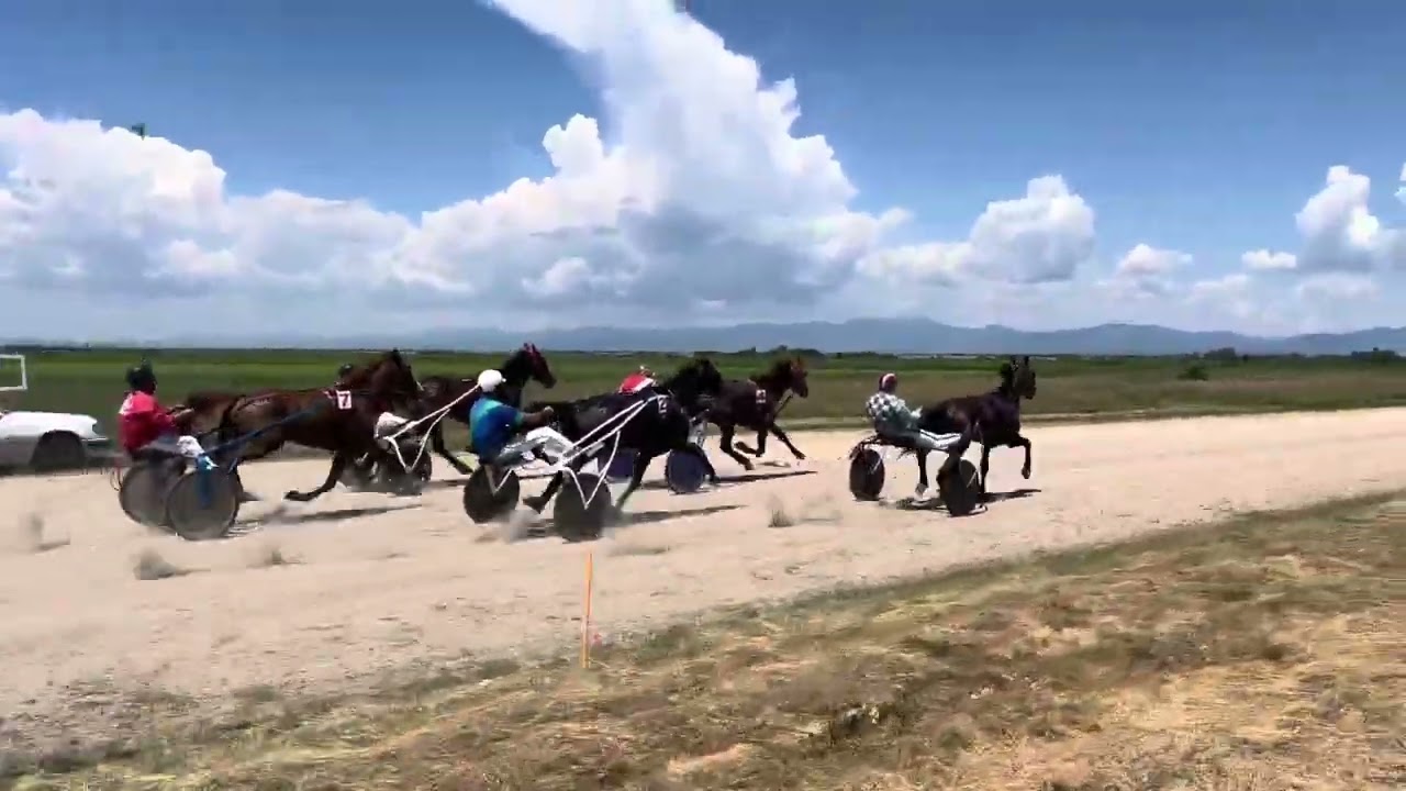 Juana Diaz 🥇Състезание с двуколки 1900м френска гара Le Trot