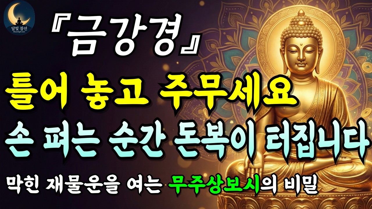 [부처님말씀] 금강경 무주상보시 자면서 켜두기만 하세요. 재물복과 금전운의 물길이 열립니다ㅣ자면서 듣는 부처님 말씀
