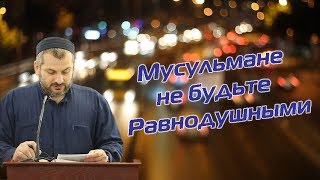 Равнодушие мусульман Махди хаджи Абидов