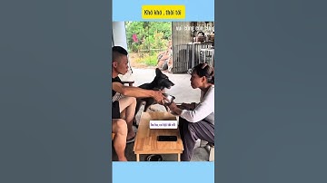 Khớ khớ, thời tới # vui cùng cún cưng