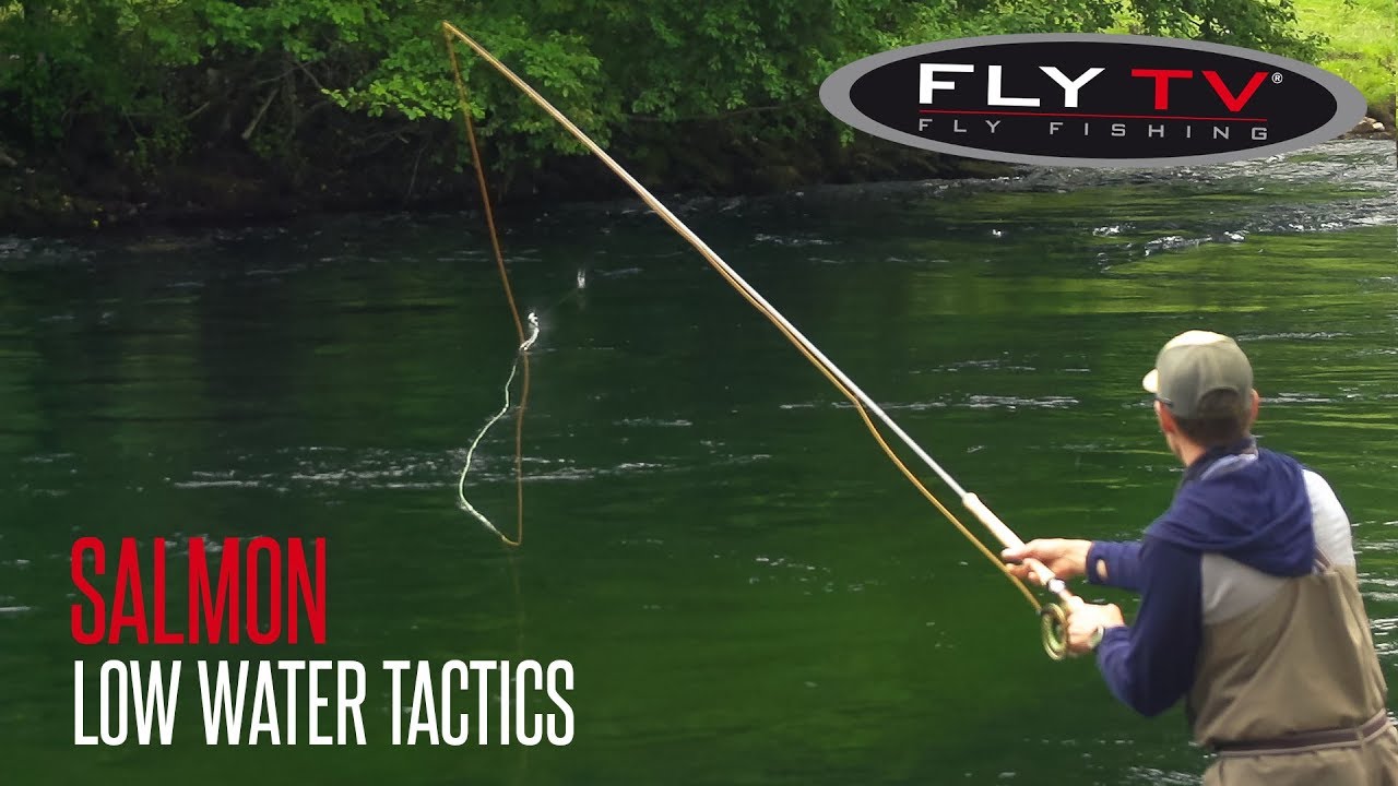 FLY TV - Low Water Tactics for Salmon in Western Norway 