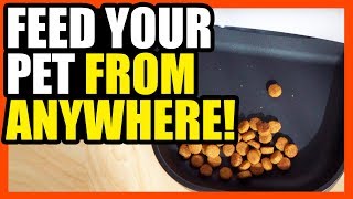 Smart Pet Feeder Review- Feed From Your Phone! | EpicReviewGuys screenshot 2