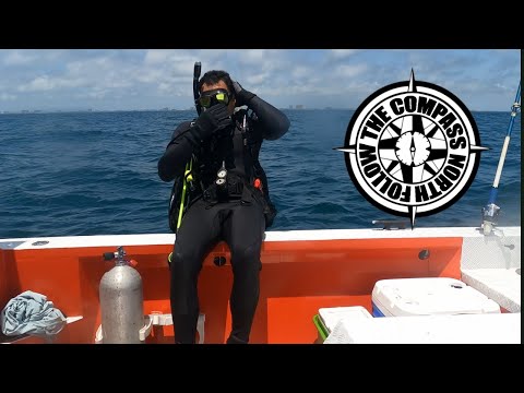 Lionfish Tournament May 2025