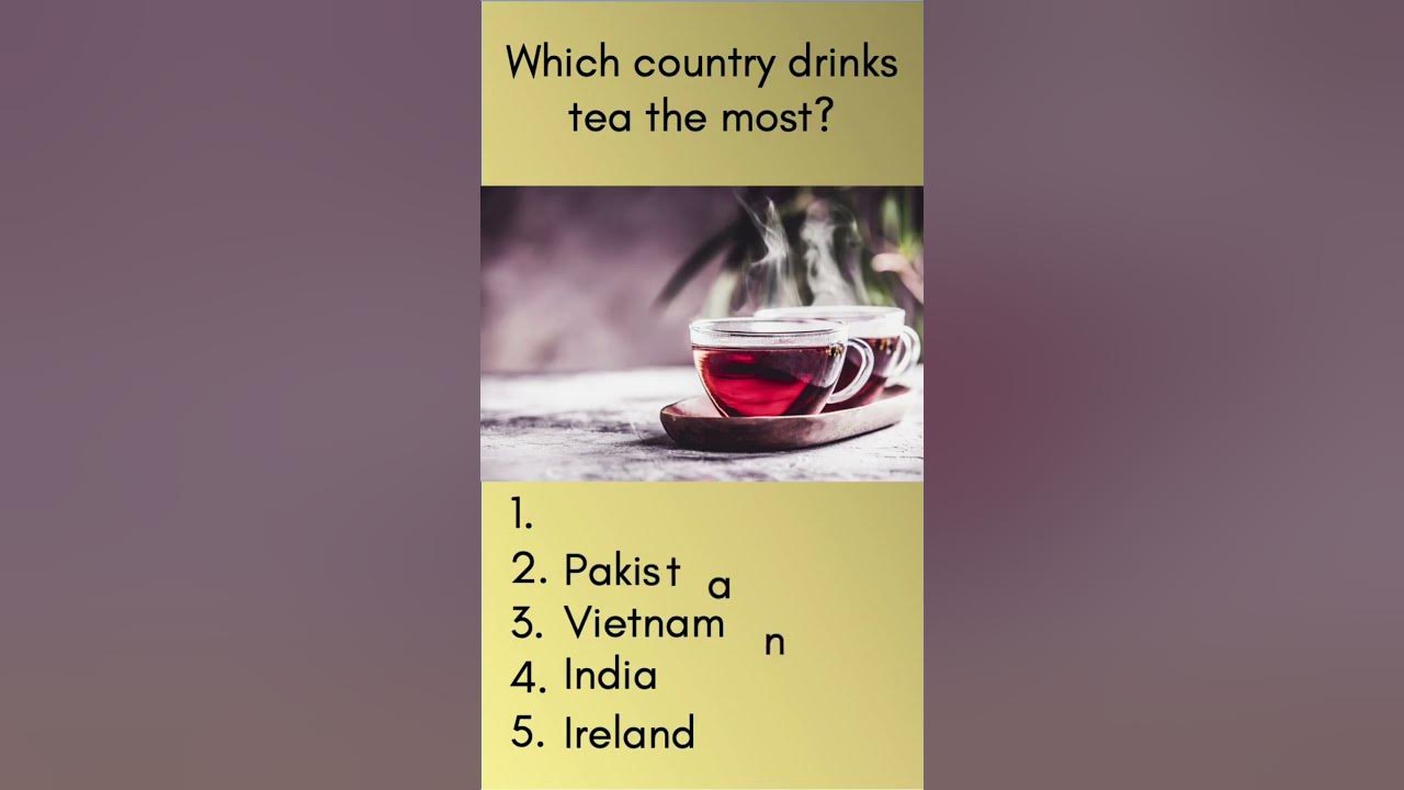 which-country-drinks-the-most-youtube