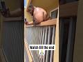 FUNNY VIDEO THAT YOU WILL LAUGH 😅 PLEASE WATCH TILL THE END 🙏